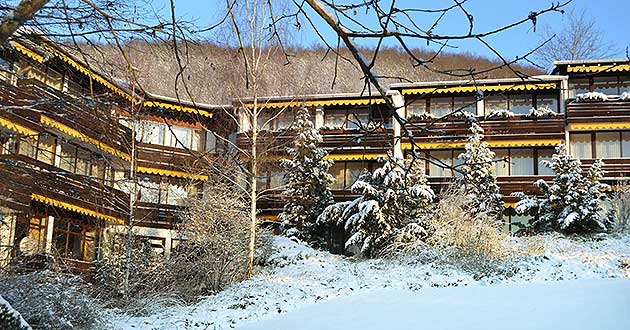 Urlaub ber Silvester in Bad Sobernheim Nahe. Silvester-Kurzurlaub in einem groen Park am Hotel.
