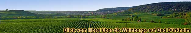 Urlaub ber Silvester im Hotel in den Weinbergen bei Bad Drkheim